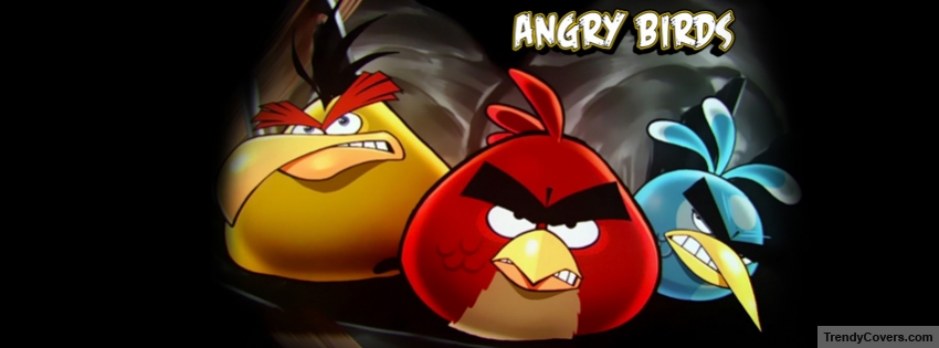 Angry Birds Facebook Cover