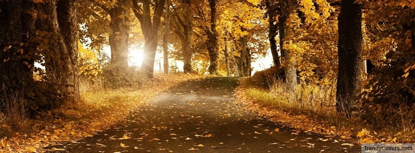 Autumn Forest facebook cover