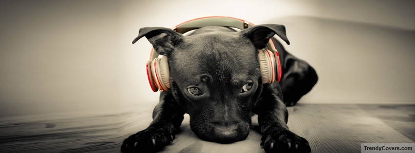 Dog Headphone facebook cover
