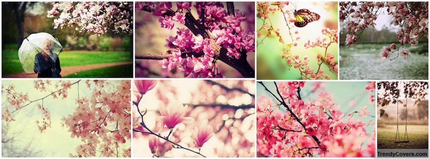 Springtime Collage facebook cover