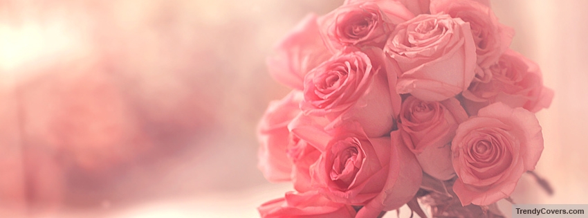 Pink Facebook Covers For Timeline - TrendyCovers.com