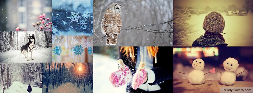 Winter Collage Facebook Cover