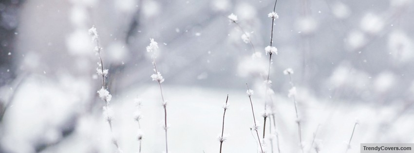 Winter Facebook Cover