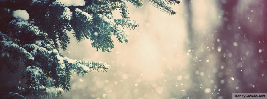 Winter Snow Facebook Cover