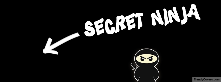 Secret Ninja facebook cover