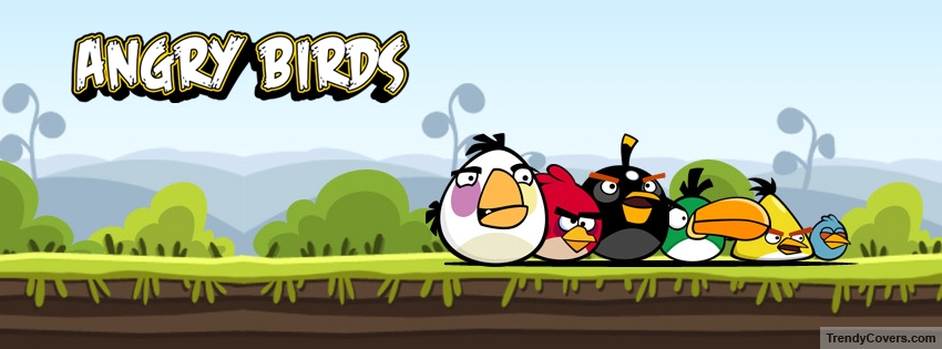 Angry Birds facebook cover