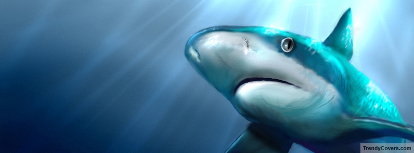 Shark facebook cover