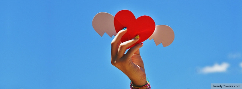 Love Heart facebook cover