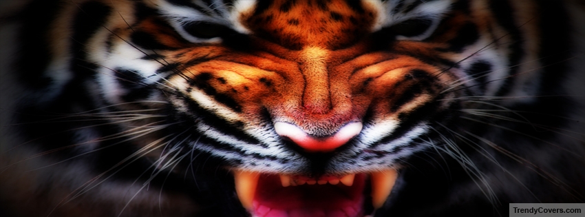 Tiger facebook cover