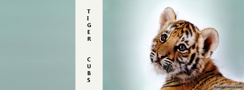 Tiger Cubs Facebook Covers