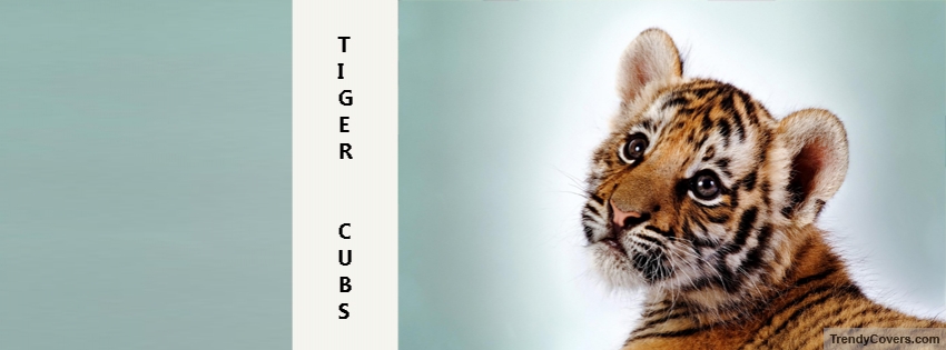 Tiger Cubs facebook cover