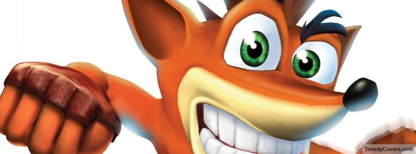 Crash Bandiqute facebook cover