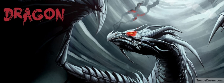 Dragon facebook cover