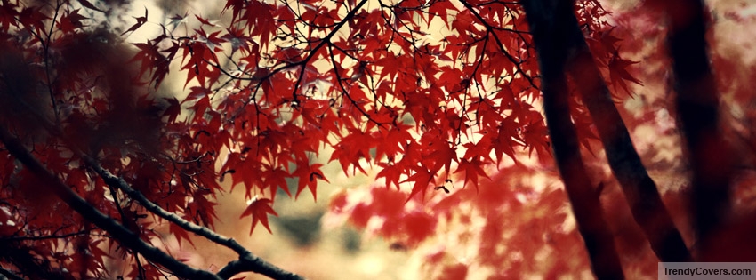 Autumn Tree facebook cover