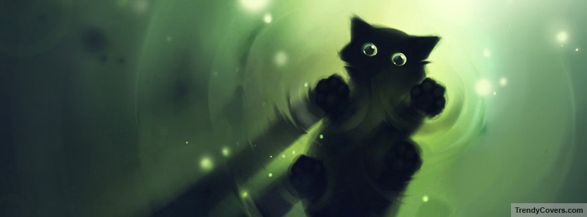 Black Cat facebook cover