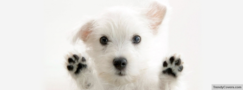 Cute Doggy Facebook Covers