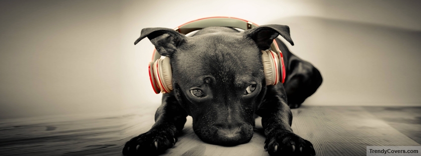 Dog Headphone Facebook Cover