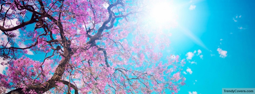 Spring Sunshine facebook cover