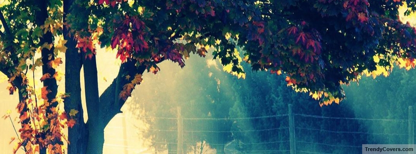 Autumn Tree facebook cover