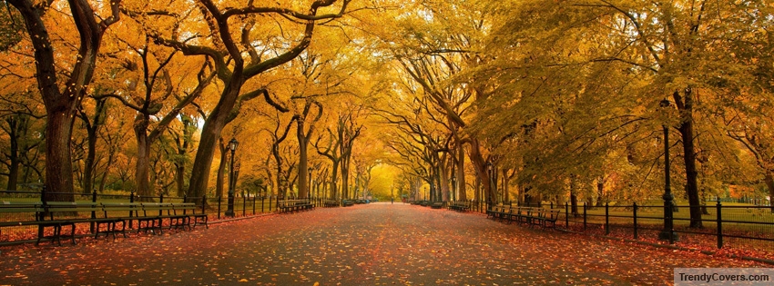 Autumn Trees facebook cover