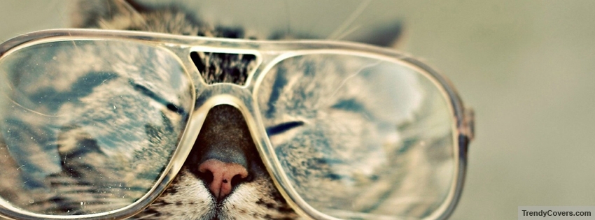 Cat Sunglasses facebook cover
