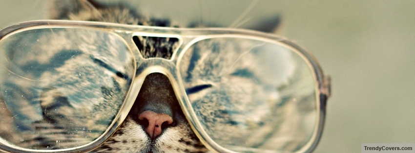 Cat Sunglasses Facebook Cover