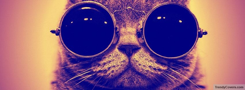 Cat With Glasses facebook cover