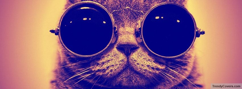 Cat With Glasses Facebook Cover