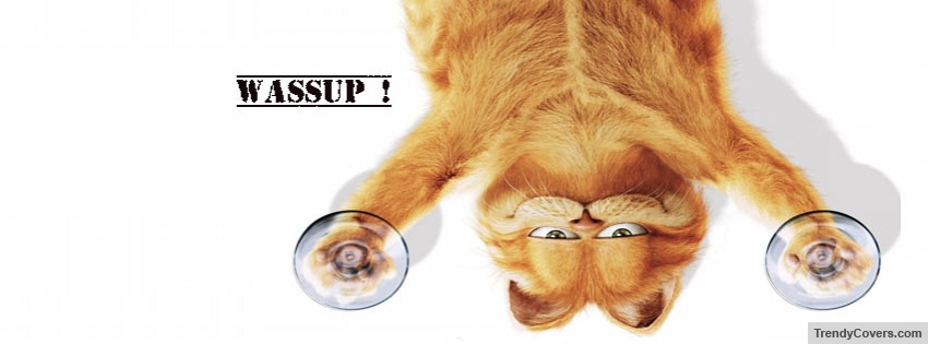 Garfield Wassup facebook cover