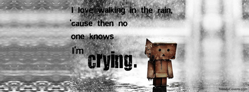 Love Walking In The Rain Facebook Cover
