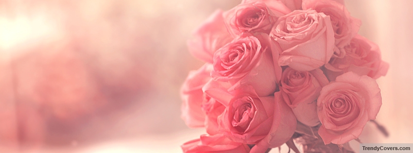 Pink Roses Facebook Cover