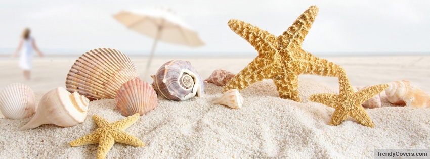 Seashells And Starfish facebook cover