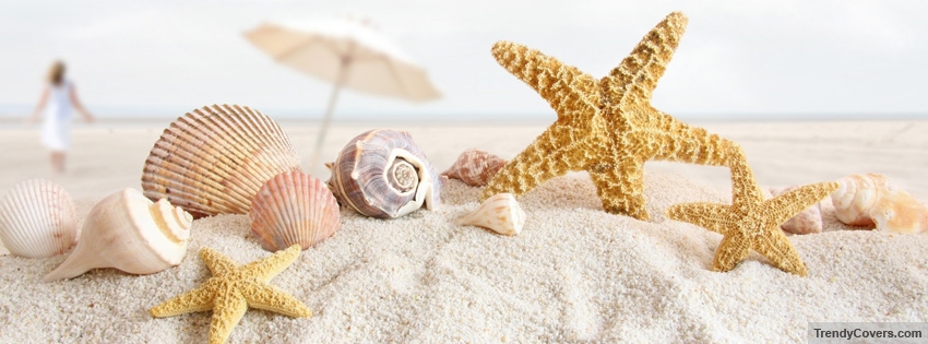 Seashells And Starfish Facebook Covers