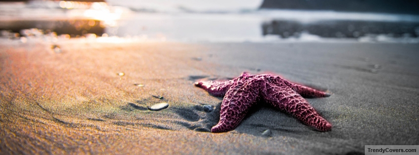 Starfish On Beach facebook cover